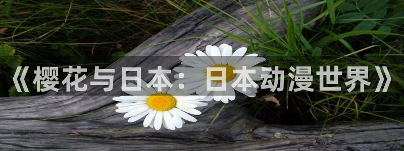 colamanage漫画官网：《樱花与日本：日本动漫世界》