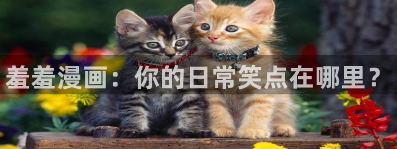 managereader漫画官网入口：羞羞漫画：你的日常笑点在哪里？