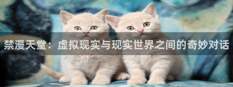 漫画之家下载动漫全免费：禁漫天堂：虚拟现实与现实世界之间的奇妙对话