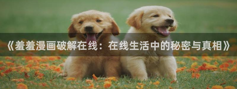 漫画之家官网在线入口：《羞羞漫画破解在线：在线生活中的秘密与真相》