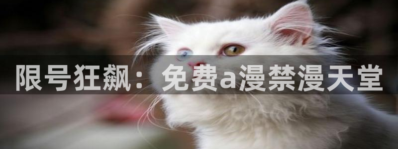 漫画之家正版网：限号狂飙：免费a漫禁漫天堂