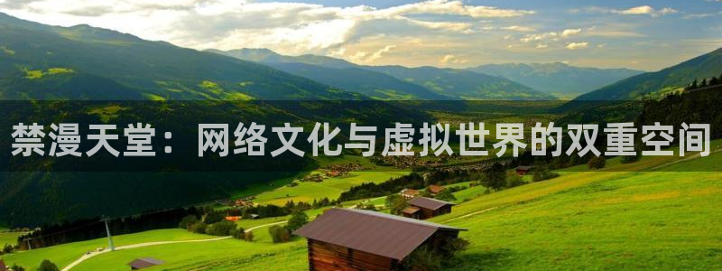 漫画之家网：禁漫天堂：网络文化与虚拟世界的双重空间