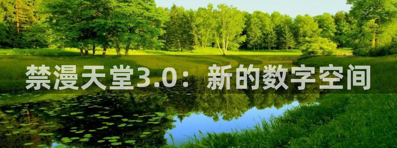 韩国漫画平台kakaopage：禁漫天堂3.0：新的数字空间