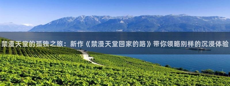 漫画之家官网入口老版本：禁漫天堂的孤独之旅：新作《禁漫天堂回家的路》带你领略别样的沉浸体验