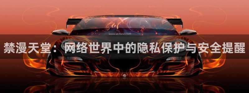 漫画之家官网网址：禁漫天堂：网络世界中的隐私保护与安全提醒