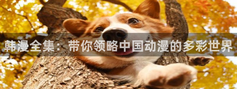 colomanage漫画官网：韩漫全集：带你领略中国动漫的多彩世界