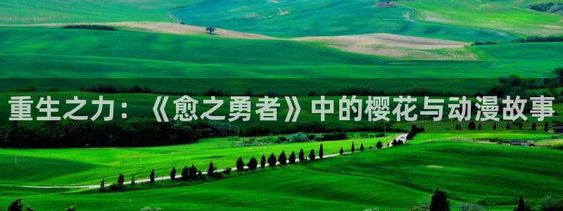 managereader漫画官网入口：重生之力：《愈之勇者》中的樱花与动漫故事
