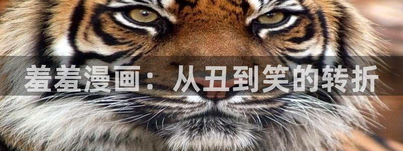 漫画之家网下载