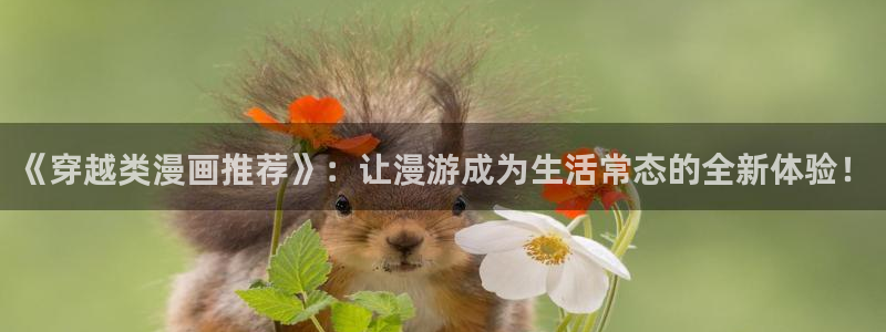 漫画之家下载入口：《穿越类漫画推荐》：让漫游成为生活常态的全新体验！